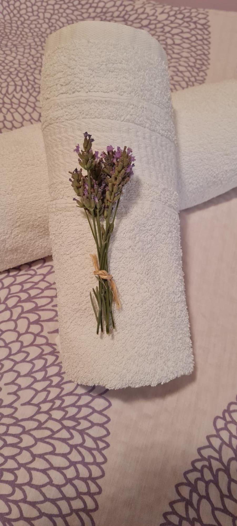 Apartment Lavanda Starigrad Paklenica Buitenkant foto